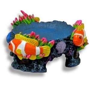  Coral Reef Beta Bowl Stand 4: Pet Supplies