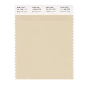   SMART 13 1008X Color Swatch Card, Bleached Sand