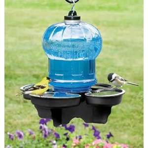  Bird Water Cooler: Everything Else