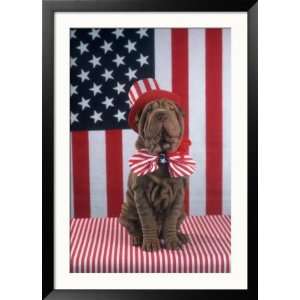 Patriotic Dog Sitting Near American Flag Animals Framed Photographic 