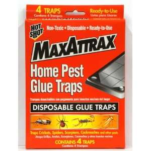   Pest Glue Traps 4 Ct (Pack of 4) Total 16 Traps Patio, Lawn & Garden