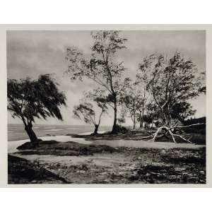   Floodplain Argentina Uruguay   Original Photogravure