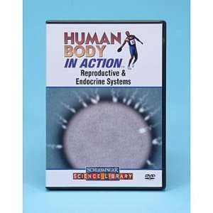 Human Body in Action: Reproductive and Endocrine Systems DVD:  