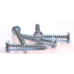   Hex Washer Head / Serrated / Type AB / Steel / Zinc / 7,000 Pc. Carton