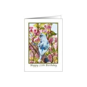  77th Birthday, Blue Parakeet and Flowers Card: Toys 