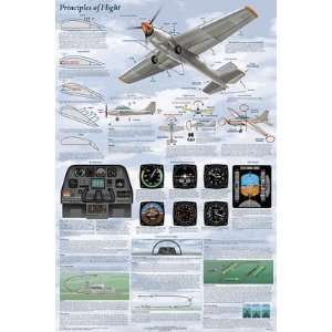     Basics of Flight Aviation Poster at Tailwinds Home & Kitchen