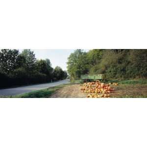  Pumpkins For Sale at the Roadside, Baden Wurttemberg 