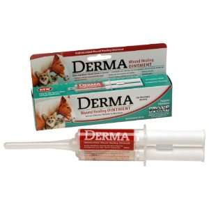  Derma Wound Healing Ointment   30 ml Health & Personal 