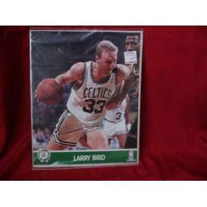   LARRY BIRD 8X10 PLAYER CARD WITH STATS ON BACK 