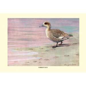  Marbled Duck 12X18 Art Paper with Gold Frame