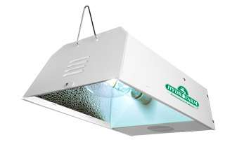   Lamps HPS MH Convertible System   250 watt grow light fixture  
