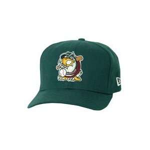 South Bend Silver Hawks 2008 Adjustable Home Cap by New 