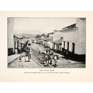   Mexico Rocky Road Train Burro Donkey Streets   Original Halftone Print