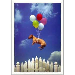  Happy Birthday Greeting Card Birthday Belated Balloon Dog Belated 
