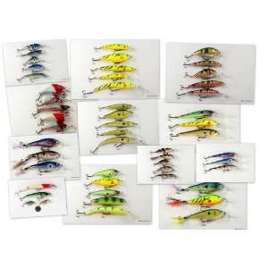 Wholesale/Bulk Lot of 51 New Born To Fish Crankbait Fishing Lures 