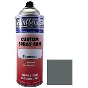 12.5 Oz. Spray Can of Flint Mica Touch Up Paint for 2007 