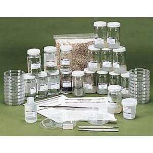 African Violet Tissue Culture Classroom Kit Refill:  