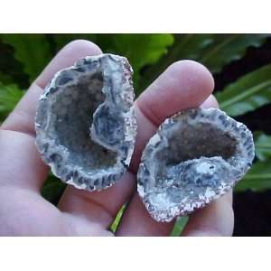  A2009 Gemqz Agate Hollow Geode: Everything Else