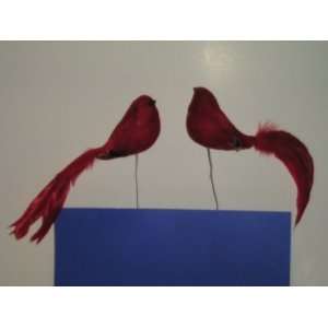  8 Red Bird with Black Wings (2 Pieces) 