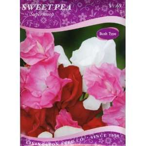  Sweet Pea   Supersnoop: Patio, Lawn & Garden