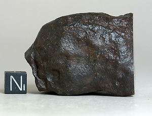 Meteorite NWA 6068 nice MAIN MASS L4 chondrite polished Endcut 139g 