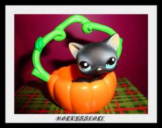 Littlest Pet Shop Cuddliest #994 Black Cat & Pumpkin  