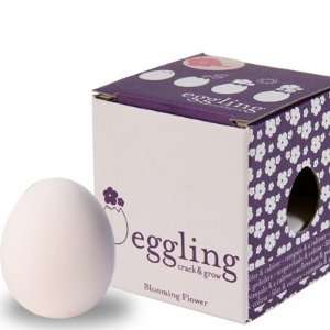  Eggling, Crack & Grow Petunia Toys & Games