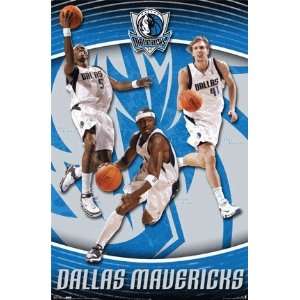  NBAs Dallas Mavericks Players Collage Poster