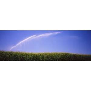  Water Being Sprayed on a Corn Field, Washington, USA 