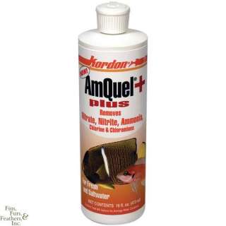Kordon Amquel Plus +® Additive   1gal  
