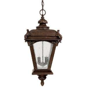  Capital Lighting Outdoor 9846 Outdoor Hanging Lantern 