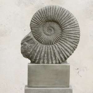  Campania International Ammonite Cast Stone Garden Statue 
