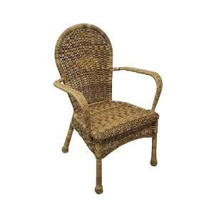   Resin Wicker Dining Chair #KLY10337CP GD: Patio, Lawn & Garden