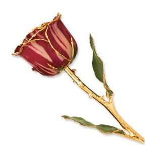 Long Stem Dipped 24K Gold Trim Abracadabra Lacquered Genuine Rose w 