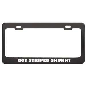 Got Striped Skunk? Animals Pets Black Metal License Plate Frame Holder 
