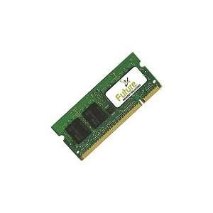  Future Memory 2GB DDR2 SDRAM Memory Module Electronics