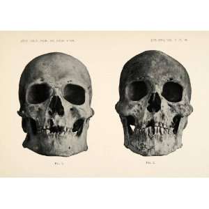 1910 Print Ellis Landing Shellmound California Human Skull 