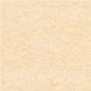 Valley Forge Olde Natural 65# Cover 8.5x11 250/pack