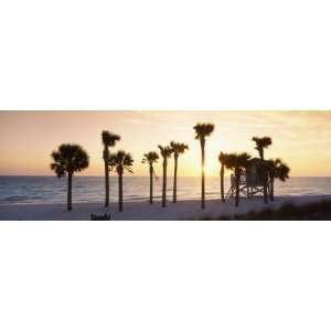 com Palm Trees on the Beach, Gulf of Mexico, Lido Beach, St. Armands 