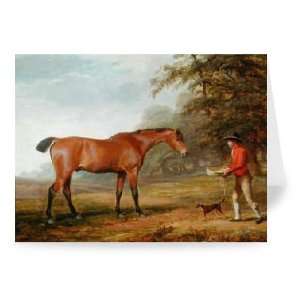 Bay Horse Approached by a Stable lad with   Greeting Card (Pack of 