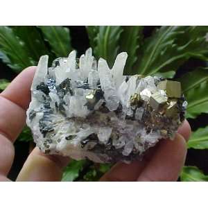  A5901 Gemqz Tetrahedrite Pyrite & Quartz Crystal Cluster 
