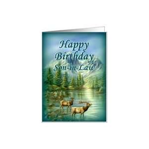  Son in Law, Happy Birthday, Elks Card Health & Personal 