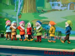 New Seven Dwarfs ADULT 7 MASCOT CARTOON COSTUMES FANCY DRESS HALOWEEN 