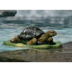    Green Turtle on Lily Pad Floats in pool or pond: Home & Kitchen