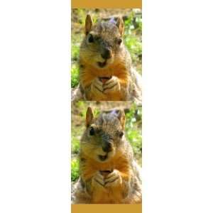  Squirrel Bookmark Business Card Templates: Office Products