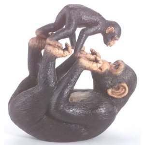  Monkey Playing With Baby Monkey