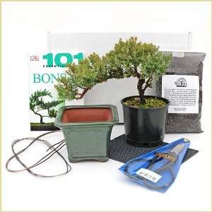  Beginning Bonsai Kit w/ Joshua Roth Shear   Shipping 