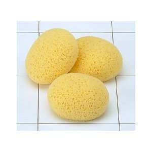  Synthetic Spa Sea Sponge