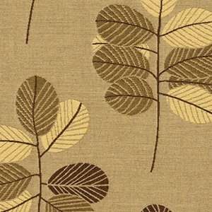   Lanai Teak Indoor / Outdoor Furniture Fabric: Patio, Lawn & Garden