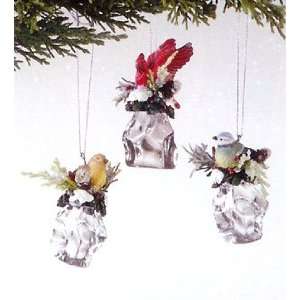  Pack of 6 Holiday Cheer Bird Sitting on Ice Cube Christmas 